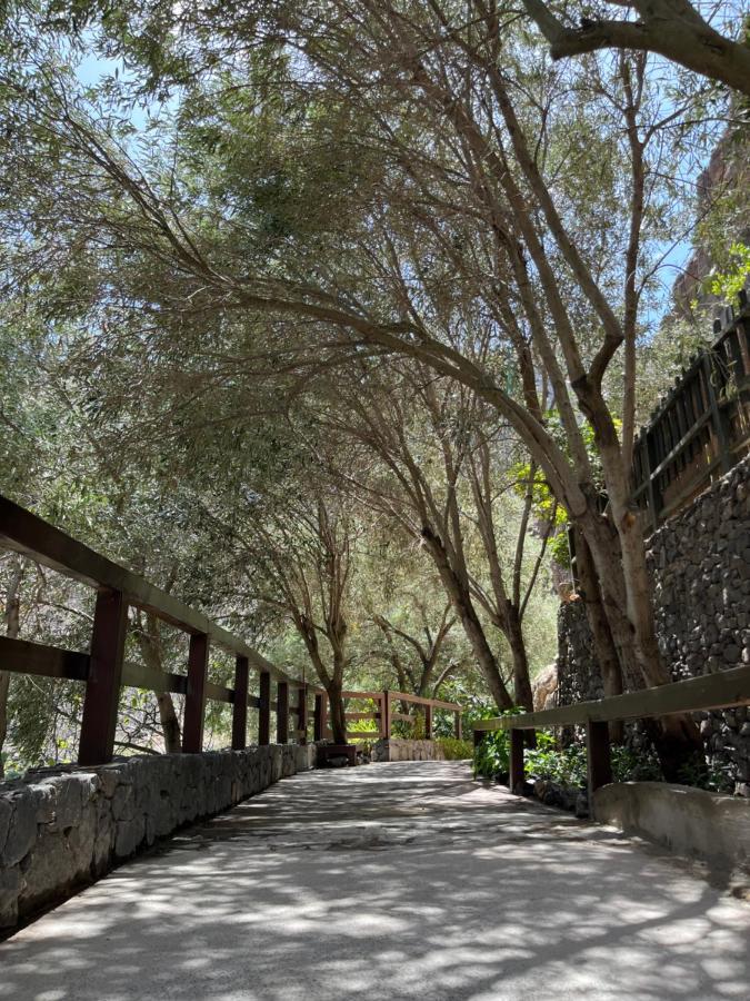 Casa Rural Guayadeque Ca'Juani Инхенио Экстерьер фото